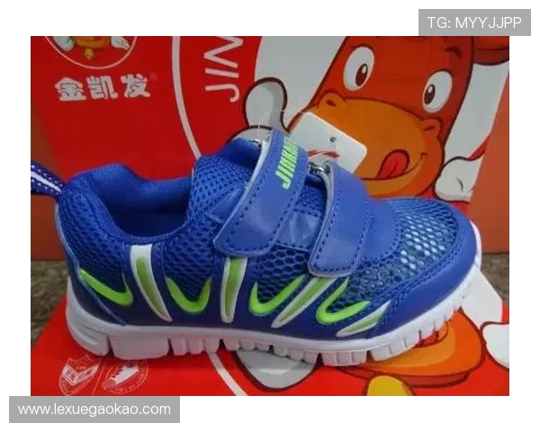 凯发国际平台官网首页最新登录入口全面介绍与安全保障措施解析