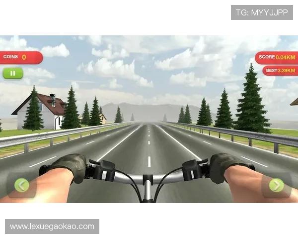 二八杠自行车游戏规则全面解析新手入门必看指南