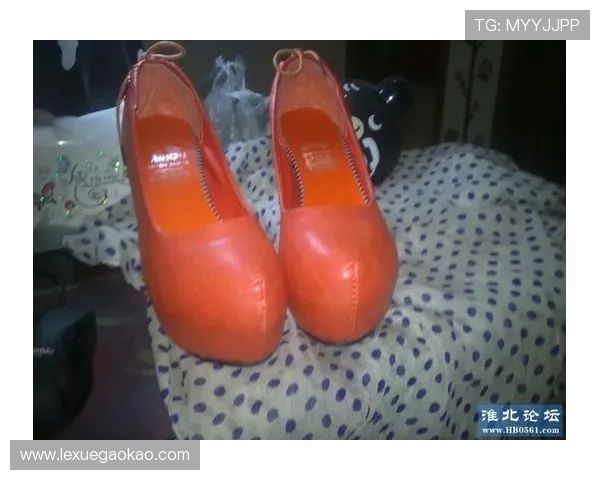 凯发app网址常见问题解答及最新入口地址获取方法