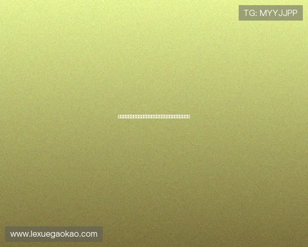 美国世界杯出线形势全面解析：历史战绩、排名变化与未来展望